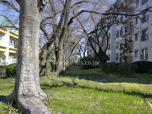 A-5棟の北側には緑地スペースが設けられています。