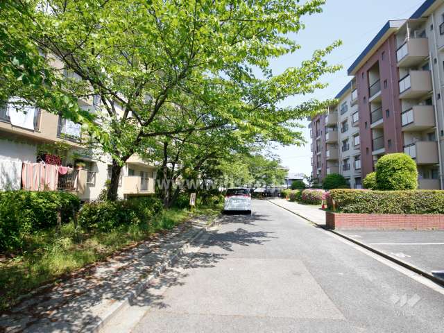 茨木安威団地A12棟南側の通路