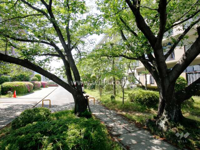 敷地内は緑豊かです。