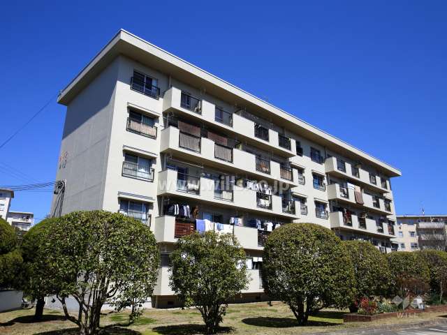茨木郡山D住宅A12棟の外観（南西側から）