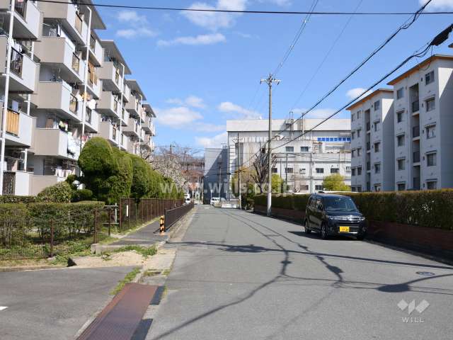 敷地南側の前面道路