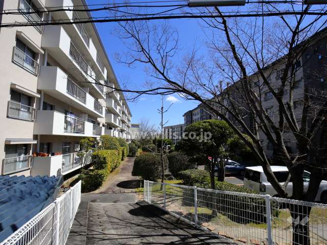 A13棟の南側の通路