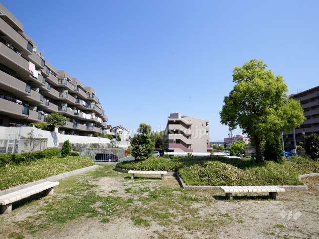 敷地の西側の様子