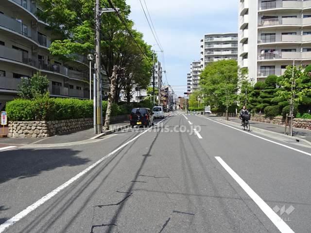 敷地東側の前面道路