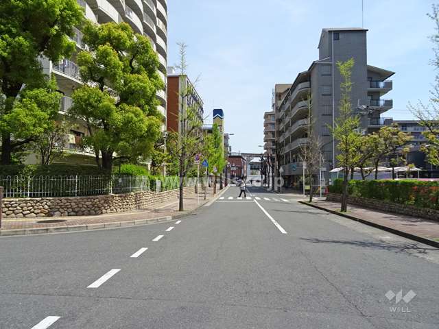 敷地南側の前面道路