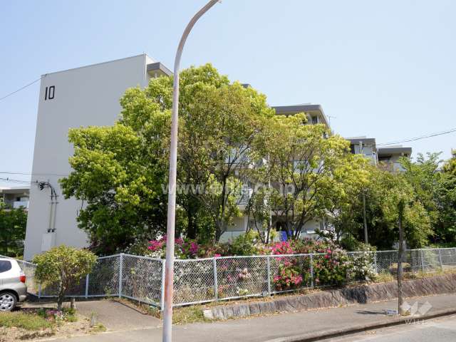 陽和台第3住宅10号棟の外観（西側から）