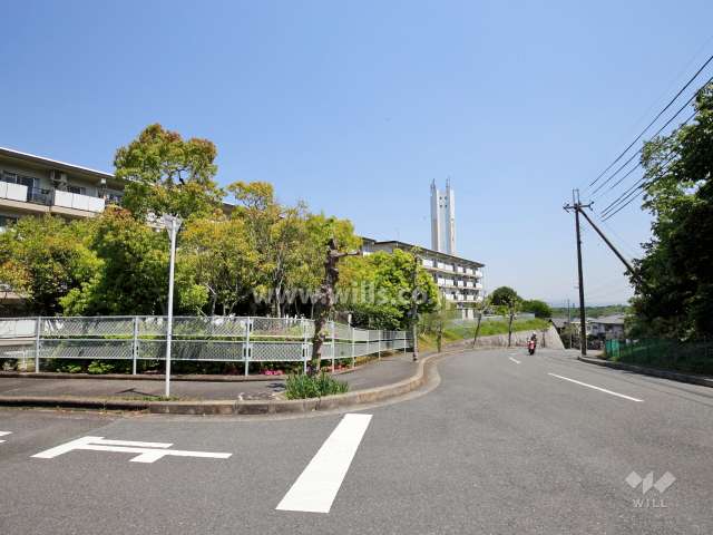 陽和台第3住宅14号棟の南側は二車線の通り。向かい側は山林で緑豊かです。