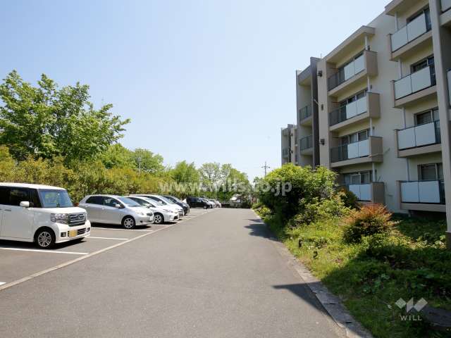 敷地内駐車場（屋外平面式）