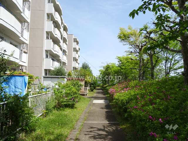 南側は遊歩道になっています。