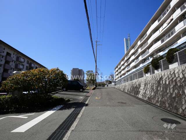 敷地南側の前面道路。南ひな壇の開放感のある立地です。