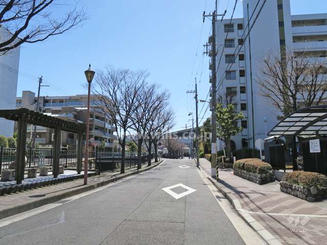 敷地東側の前面道路（北側から）