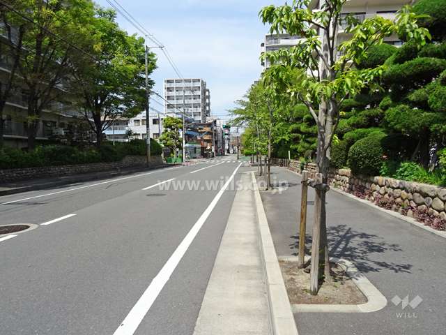 敷地西側の前面道路