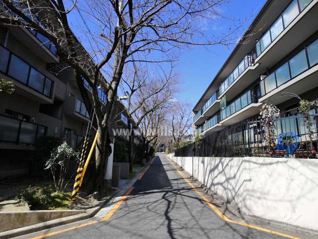 E棟の南側の通路
