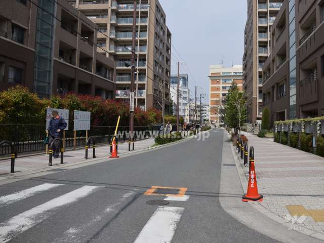 敷地東側の前面道路