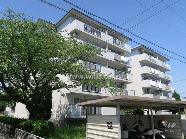 平田住宅10号棟の外観（南西側から）