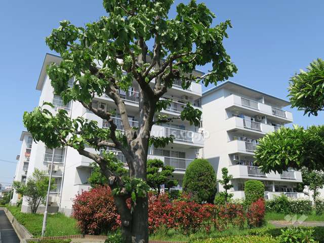 平田住宅13号棟の外観（南西側から）