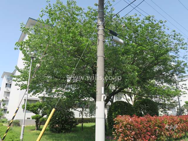 平田住宅17号棟の外観（南西側から）