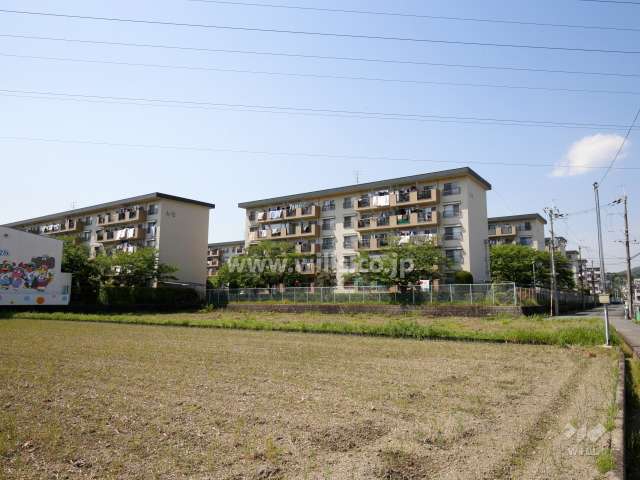 茨木安威団地の全景。周辺は田畑の多いのどかな雰囲気の住宅地です。