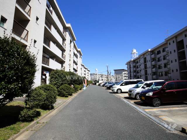 敷地内の通路