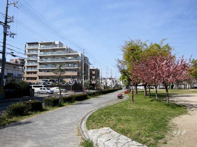 敷地の北側には道を挟んで『本庄中央公園』があります。