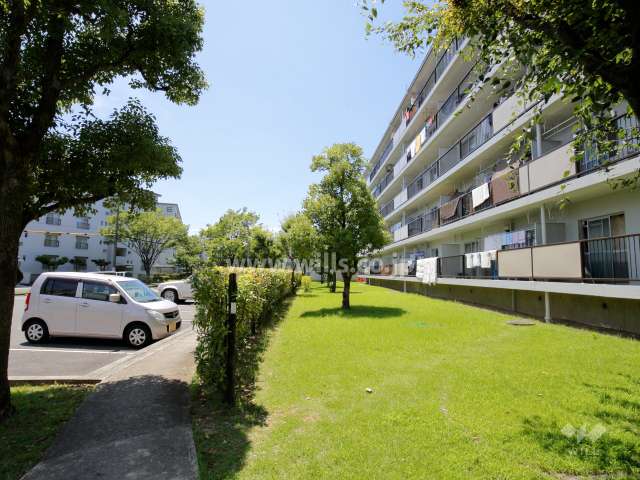 62棟の南側の緑地。緑地を挟んで駐車場があります。