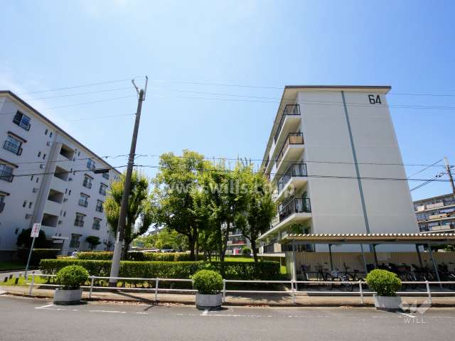 富田第二住宅64棟の外観（東側から）