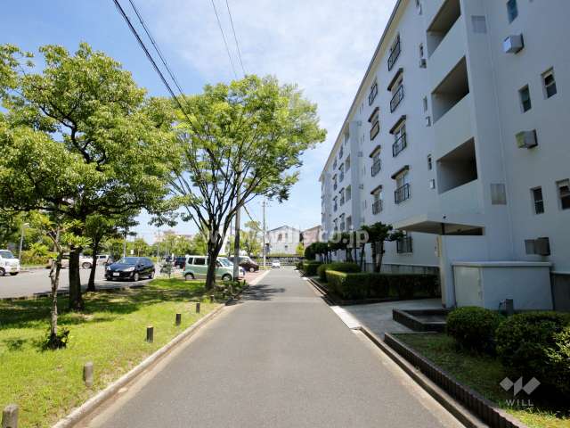 敷地北側の通路