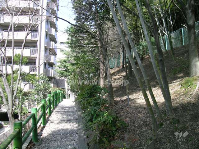 3番館横の散歩道と竹林