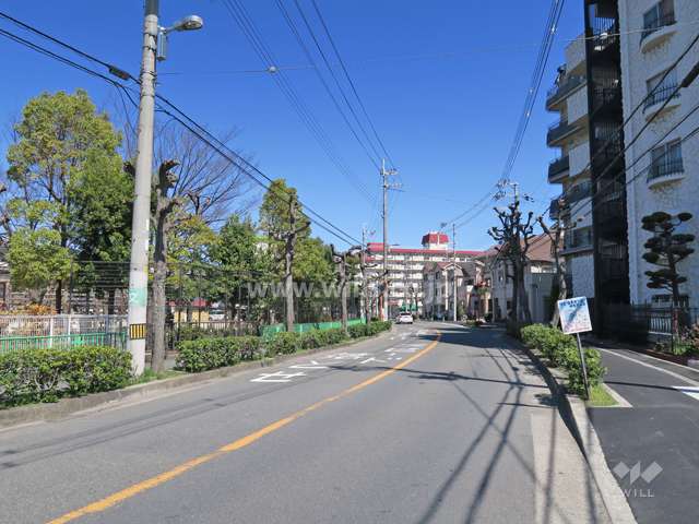 敷地西側の前面道路（北側から）