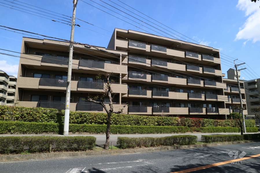 サンリーノ逆瀬川野上サウスコートの外観（南側から）