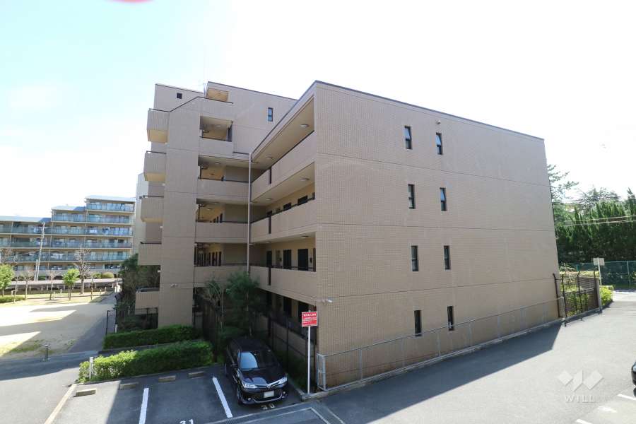 サンリーノ逆瀬川野上サウスコートの外観（西側から）