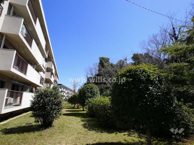 敷地南側には山林が広がっています。