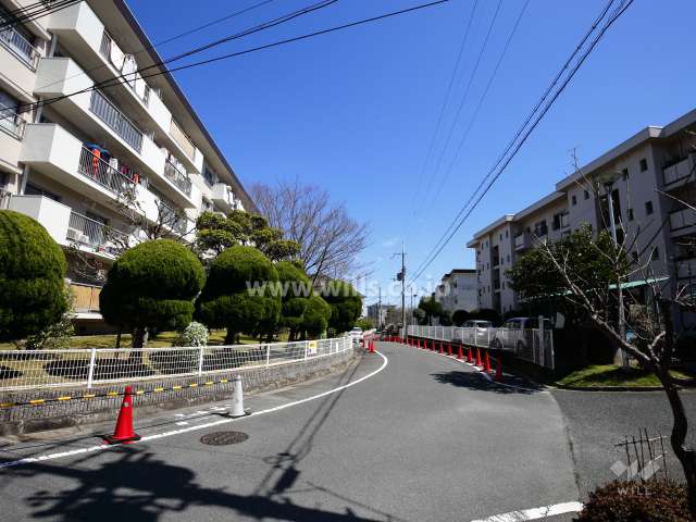 A21棟の南側前面道路