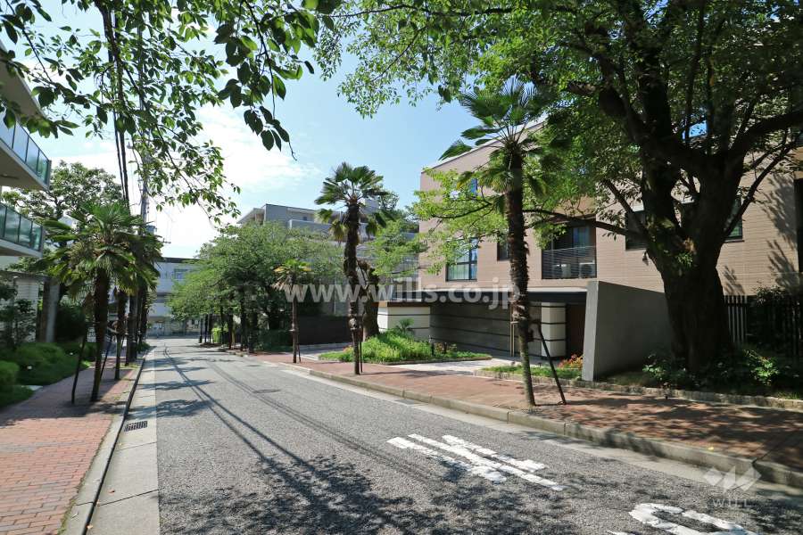 敷地東側の前面道路