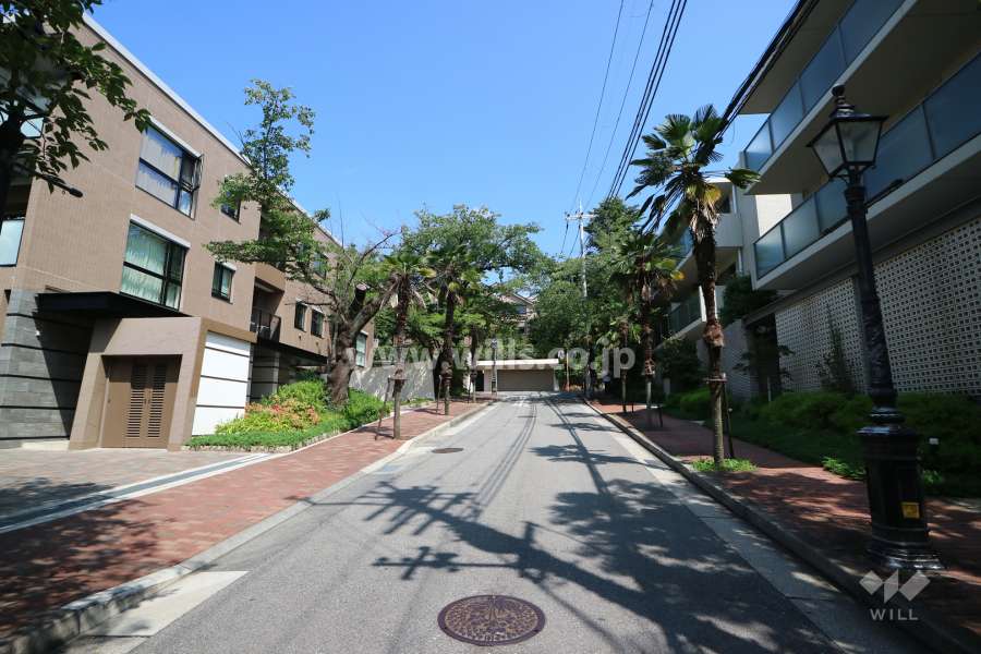 敷地東側の前面道路