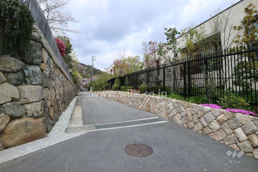 敷地西側の前面道路