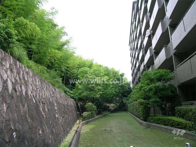 敷地の東側には竹林が広がっています。