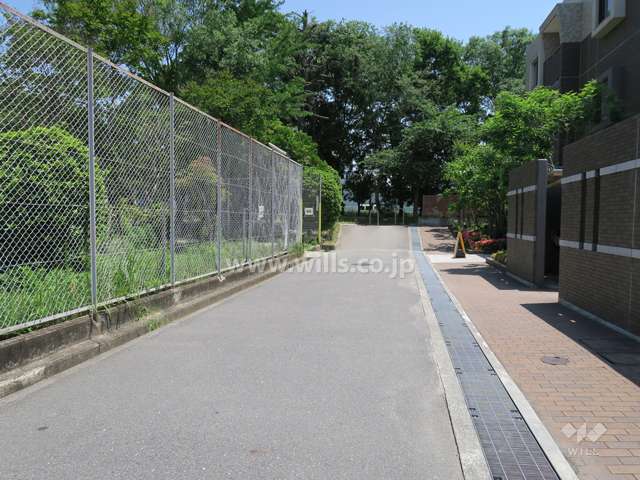 敷地北側の前面道路