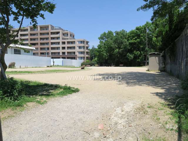 敷地の向かい側に公園があります。
