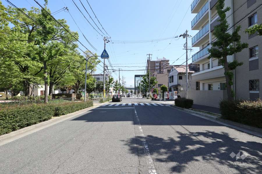 敷地東側の前面道路