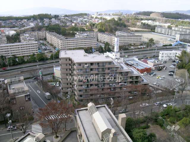 街路樹のきれいな通りに面し、敷地西側には新御堂筋が走っています。