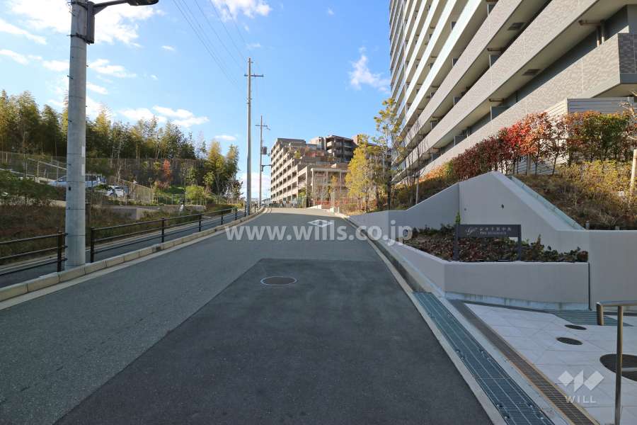 敷地南側の前面道路