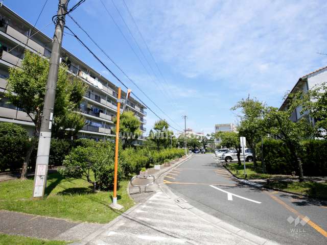 61棟の南側の緑地と敷地内駐車場