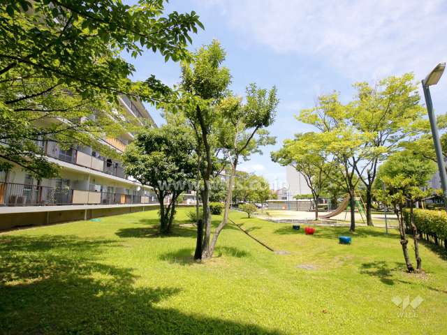 65棟南側の緑地