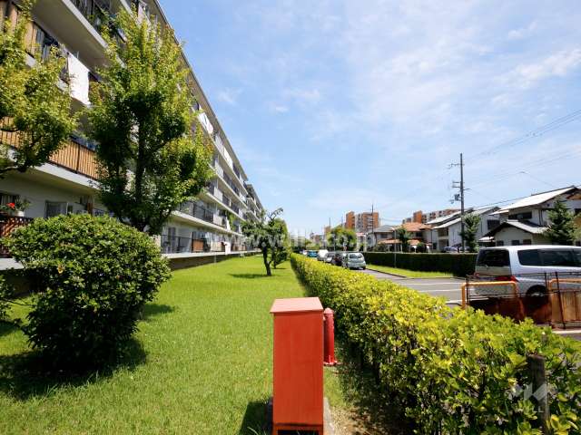 68棟の南側の緑地と駐車場