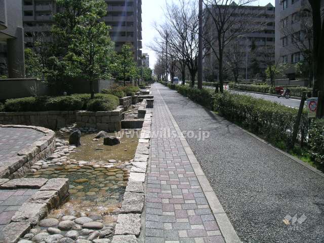 街路樹のきれいな敷地東側の前面道路