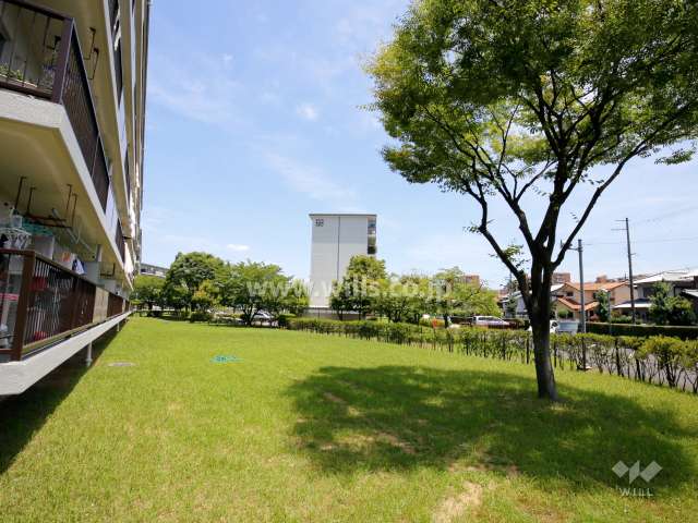 69棟南側の緑地