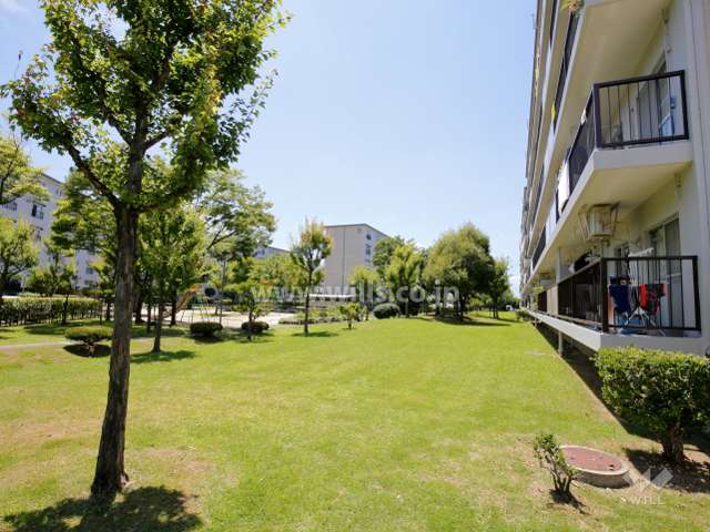 72棟の南側の緑地