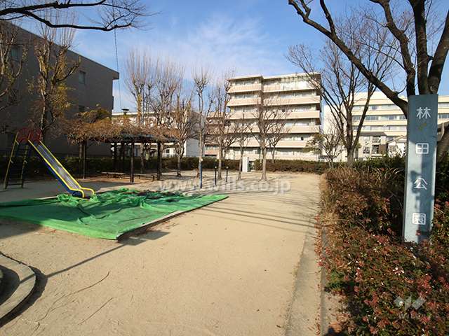 敷地北側にある林田公園