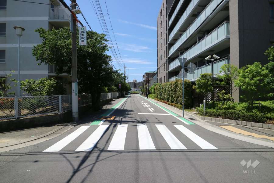 敷地東側の前面道路（北側から）